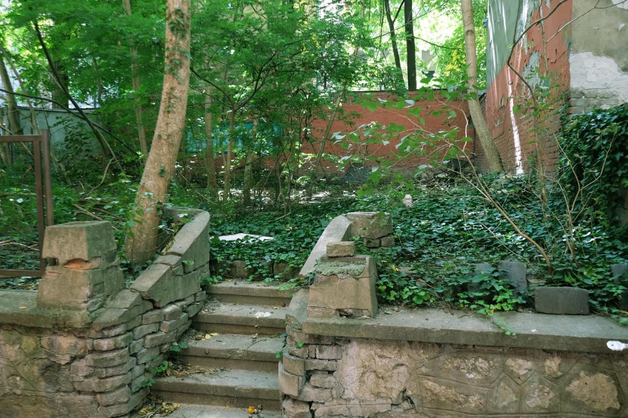 Studio Paradise Forest Belgrad Zewnętrze zdjęcie